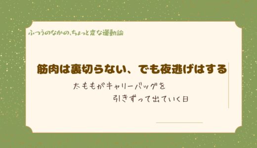 筋肉は裏切らない、でも夜逃げはする──太ももがキャリーバッグを引きずって出ていく日